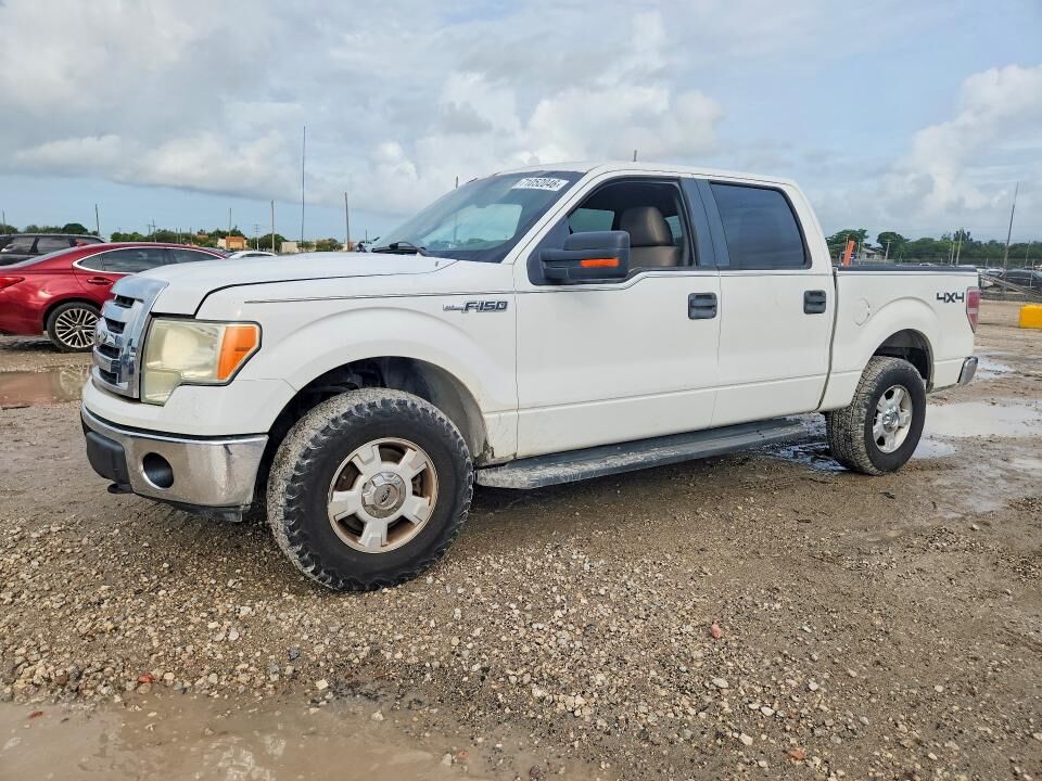 2010 FORD F-150