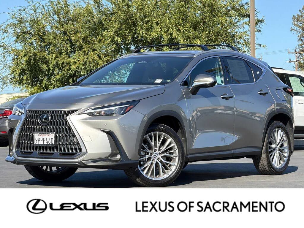 2025 LEXUS NX