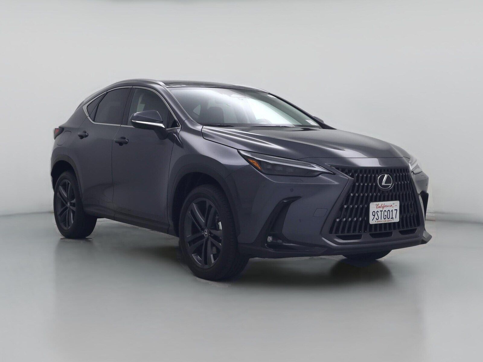 2025 LEXUS NX