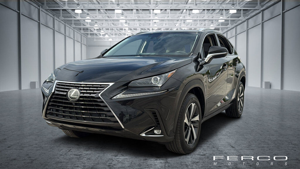 2019 LEXUS NX