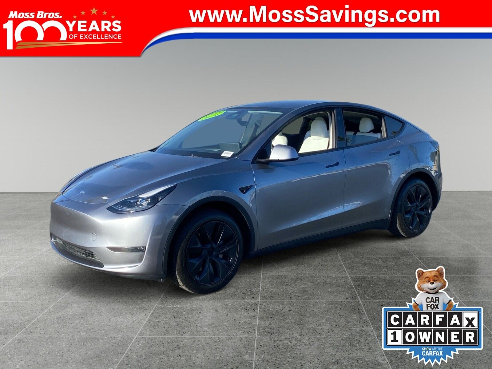 2024 TESLA Model Y