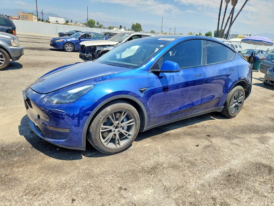 2024 TESLA Model Y