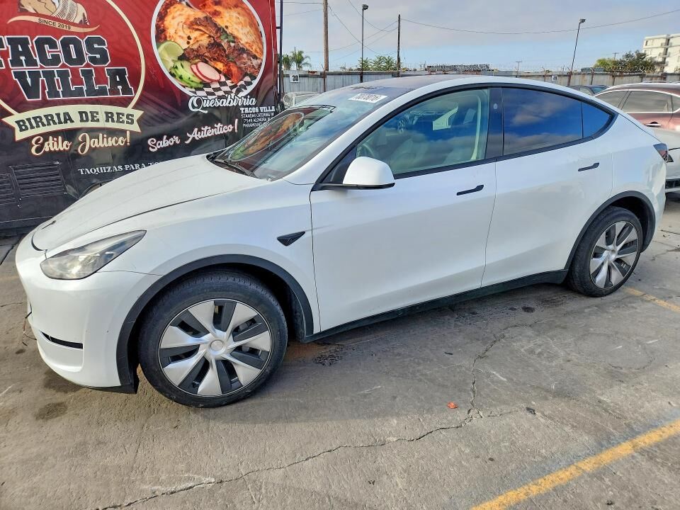 2024 TESLA Model Y