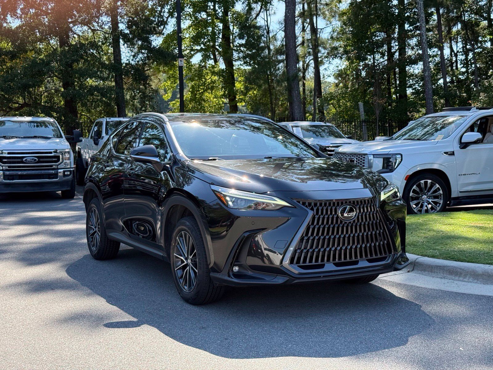 2024 LEXUS NX
