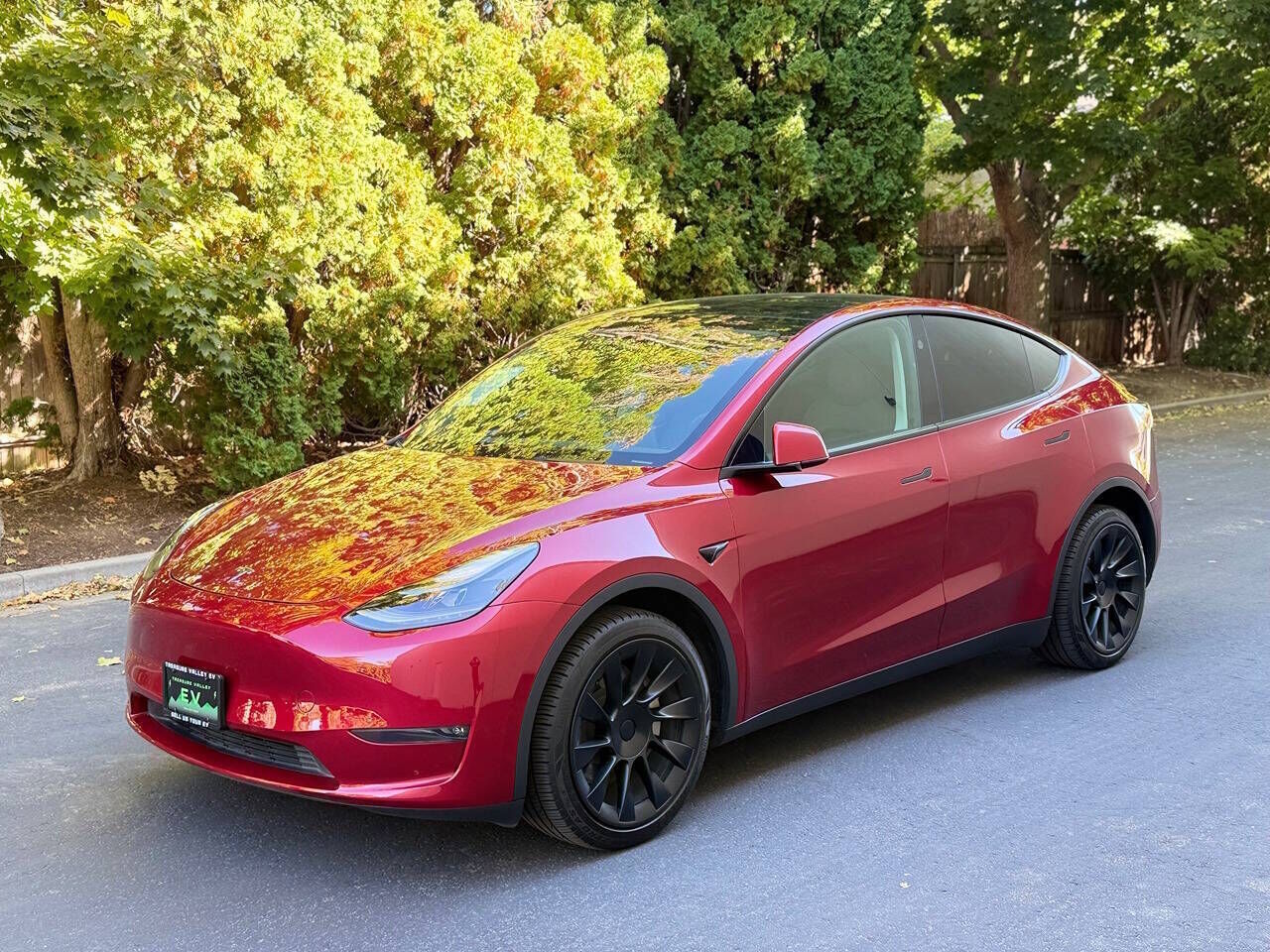 2024 TESLA Model Y