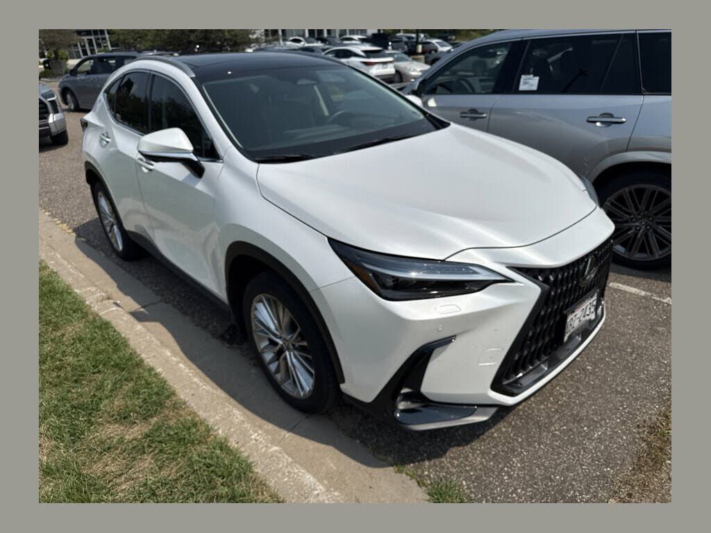 2024 LEXUS NX
