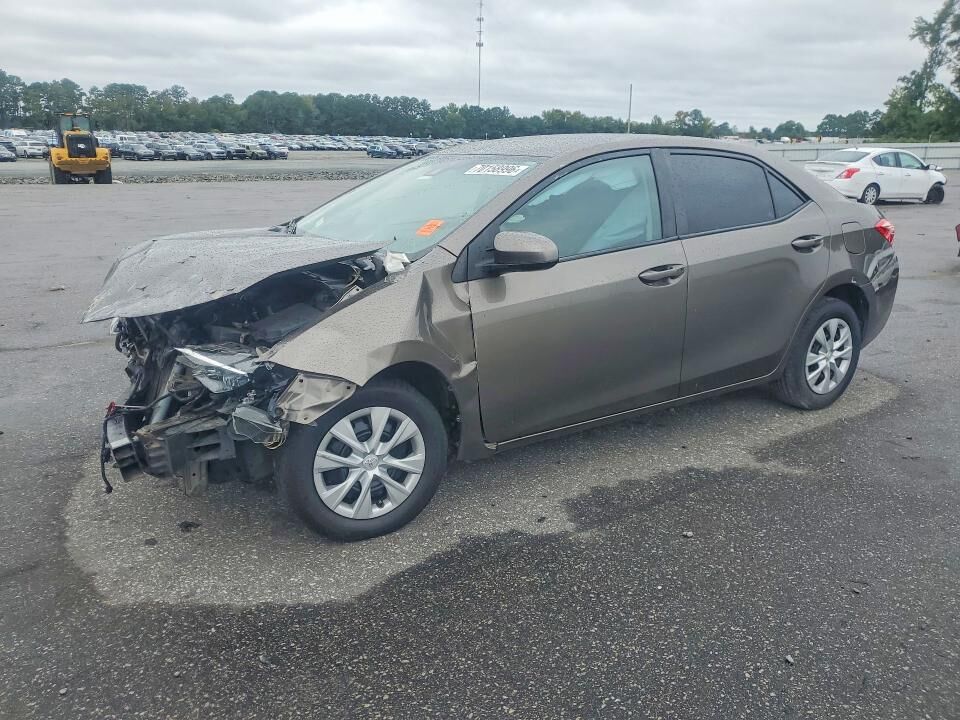 2019 TOYOTA Corolla