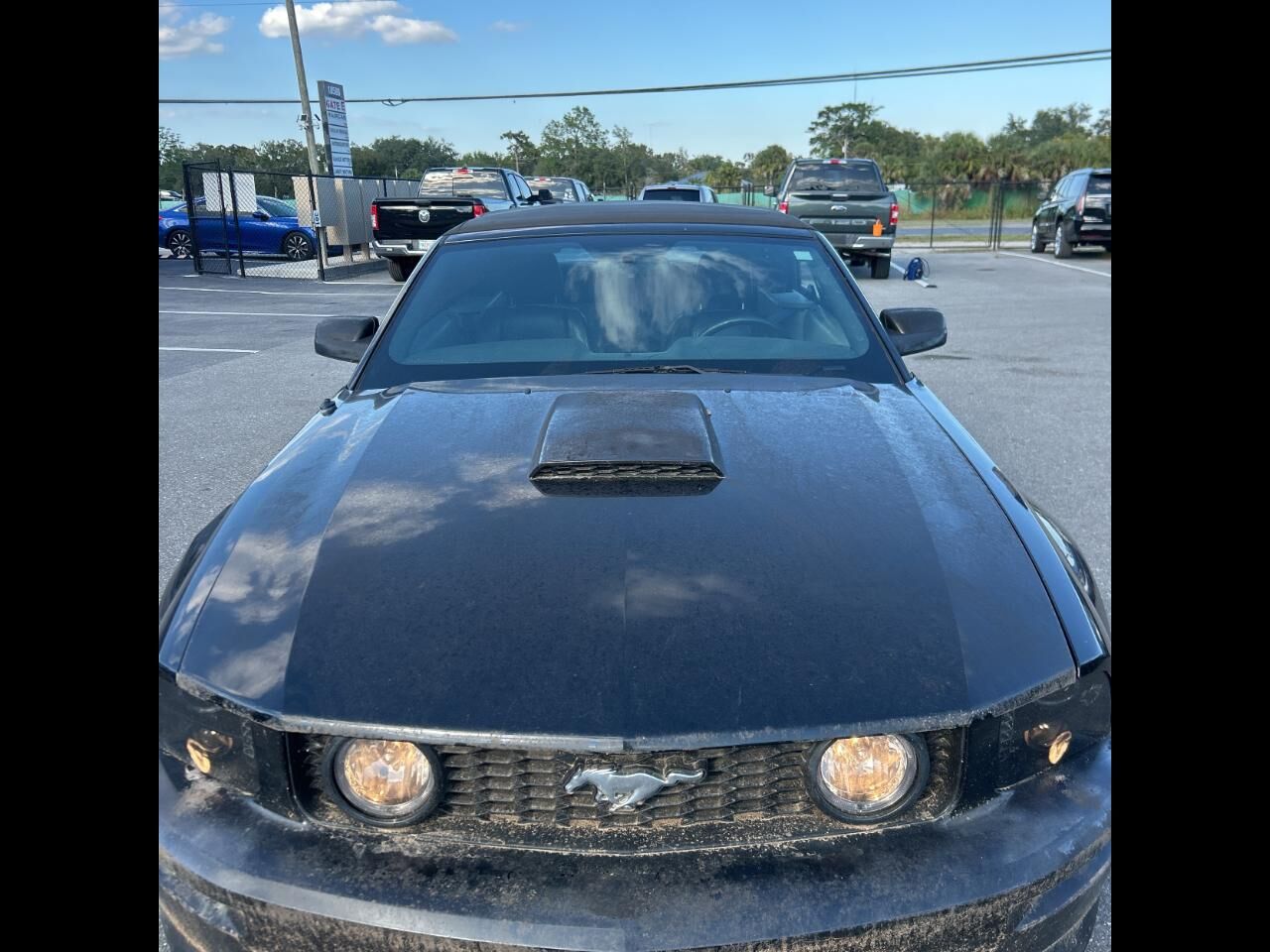 2009 FORD Mustang
