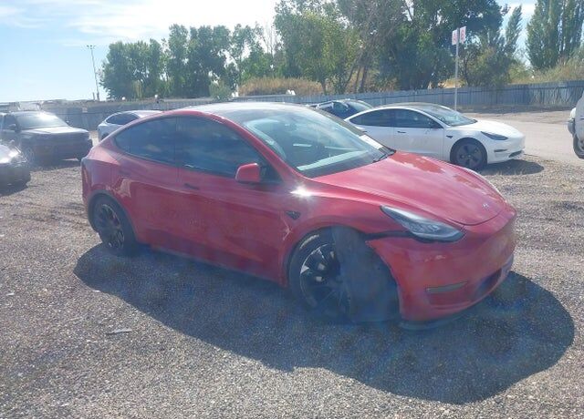 2021 TESLA Model Y
