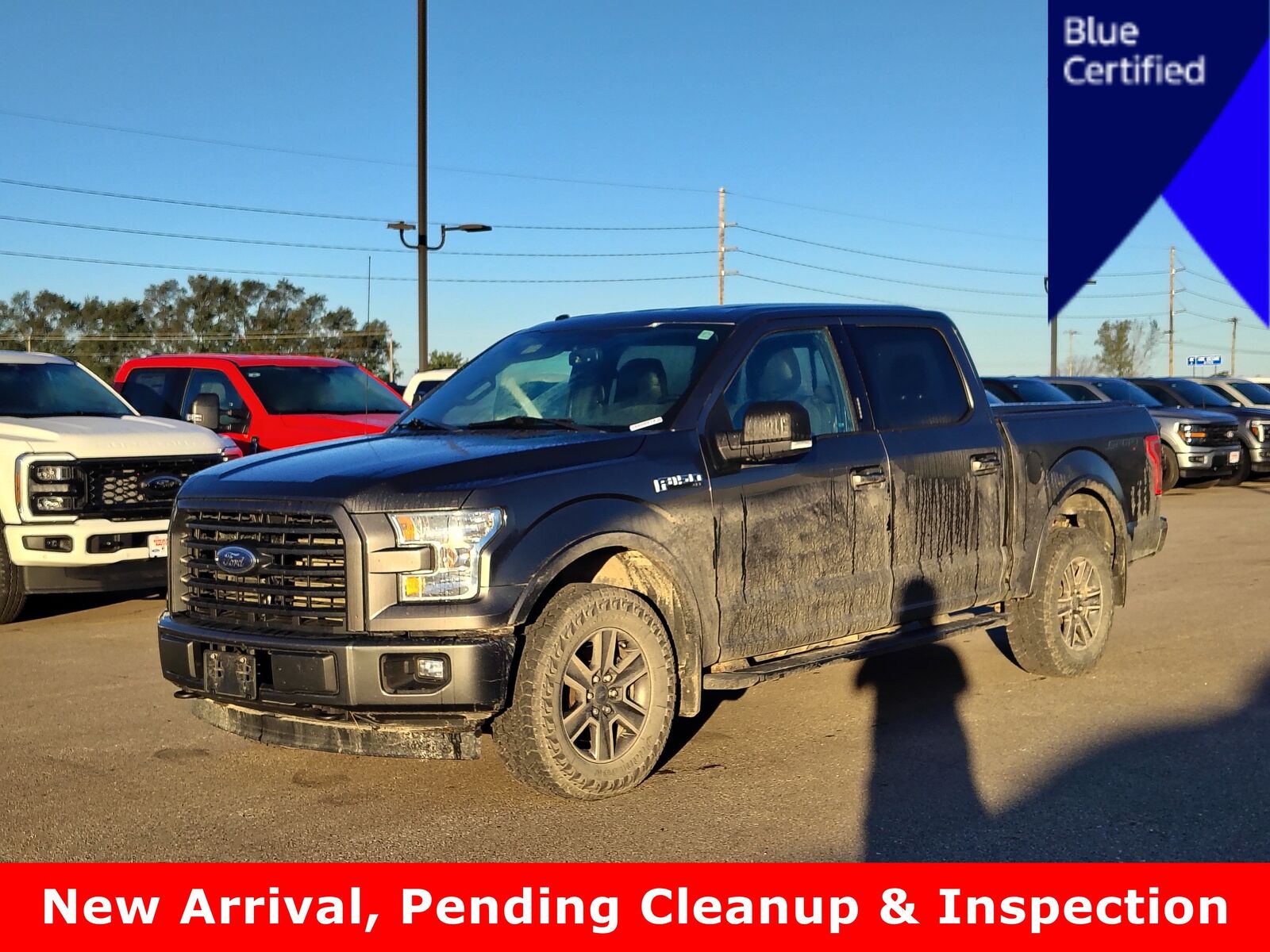 2017 FORD F-150