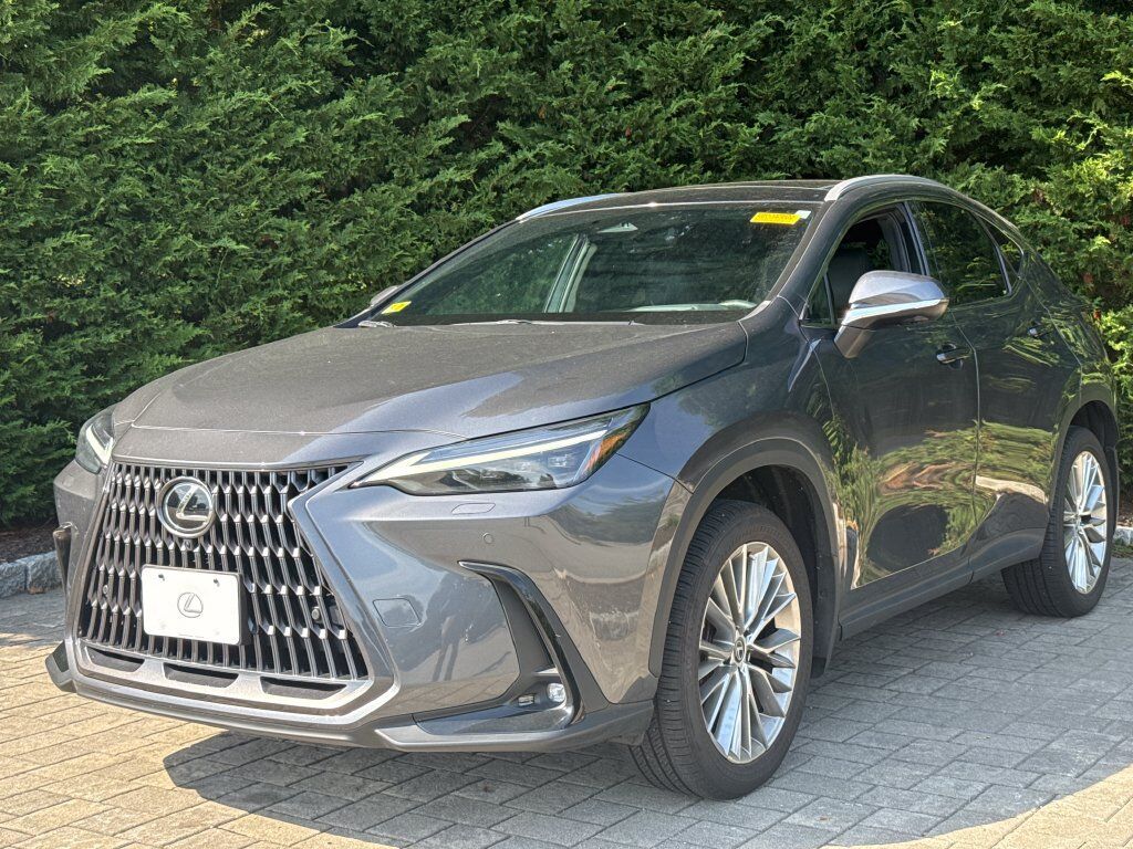 2024 LEXUS NX