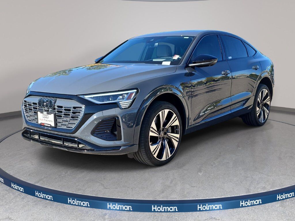 2024 AUDI Q8
