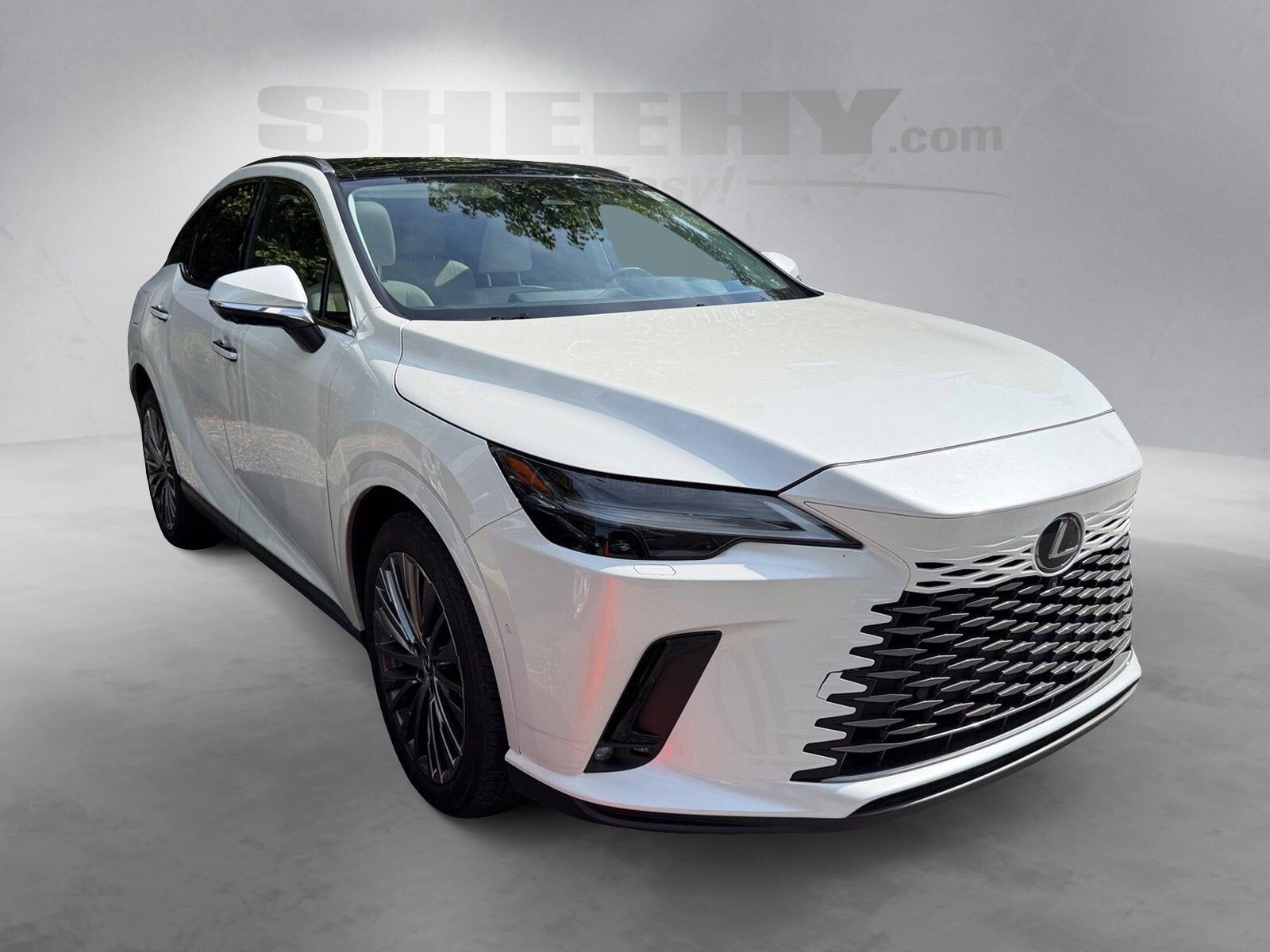 2024 LEXUS RX