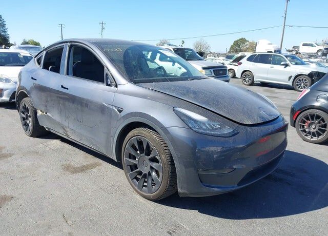 2020 TESLA Model Y