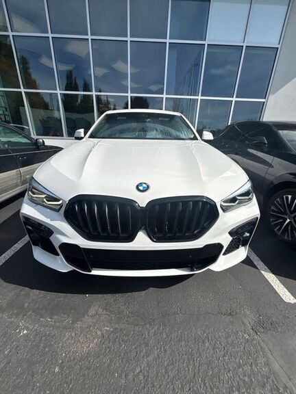 2022 BMW X6
