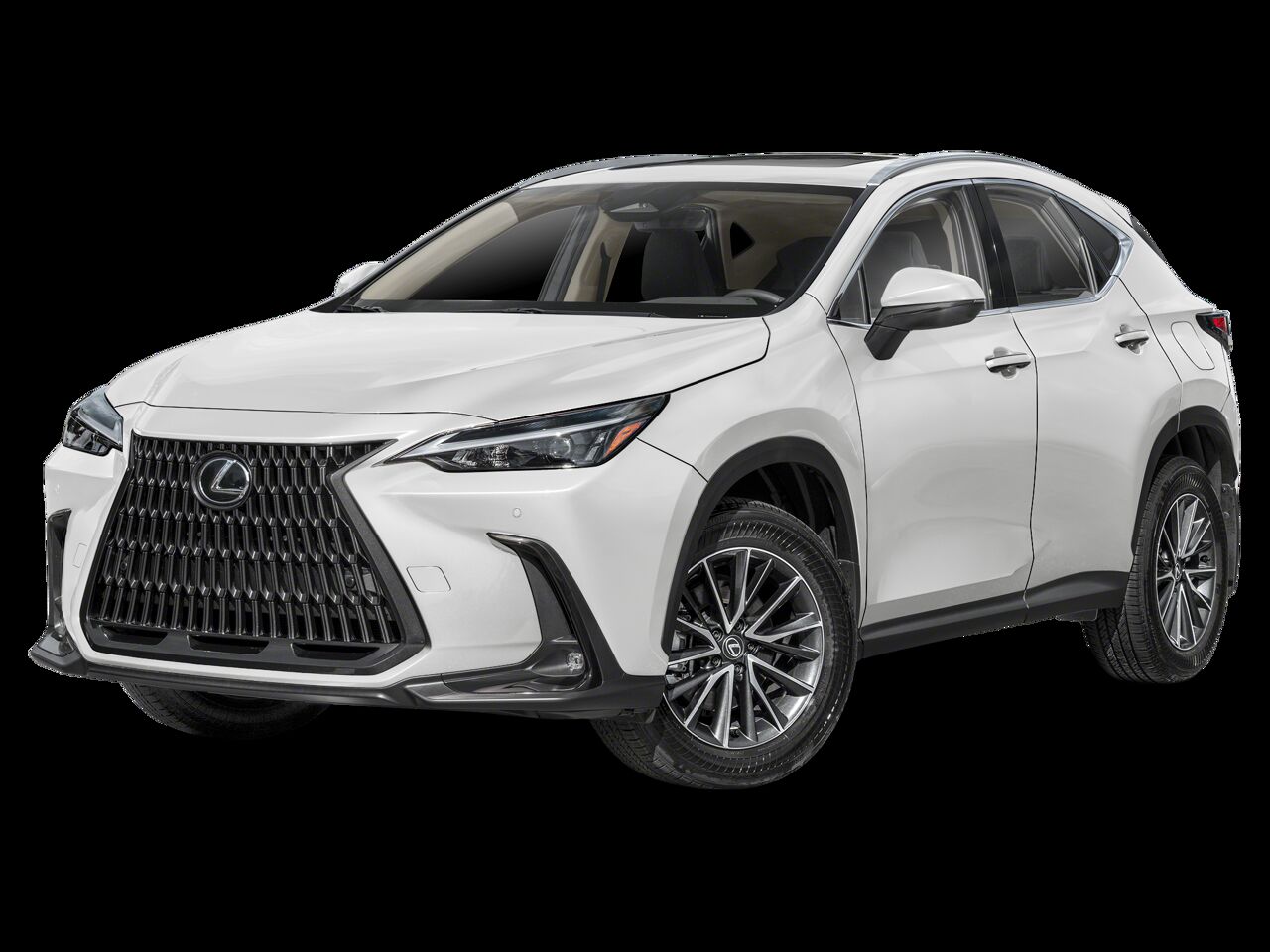 2025 LEXUS NX