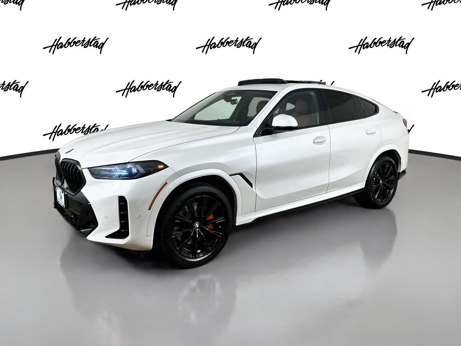2025 BMW X6