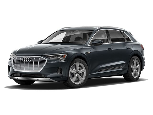 2019 AUDI e-tron