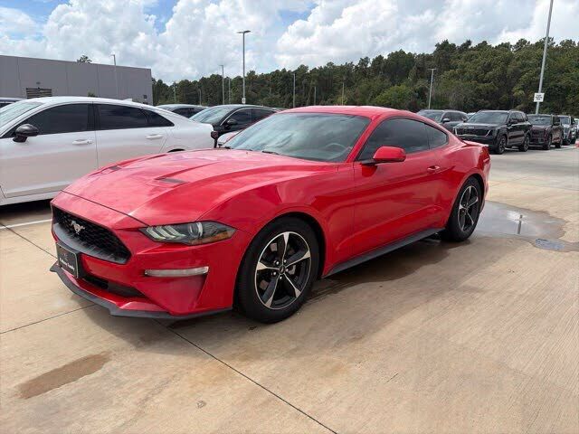 2019 FORD Mustang
