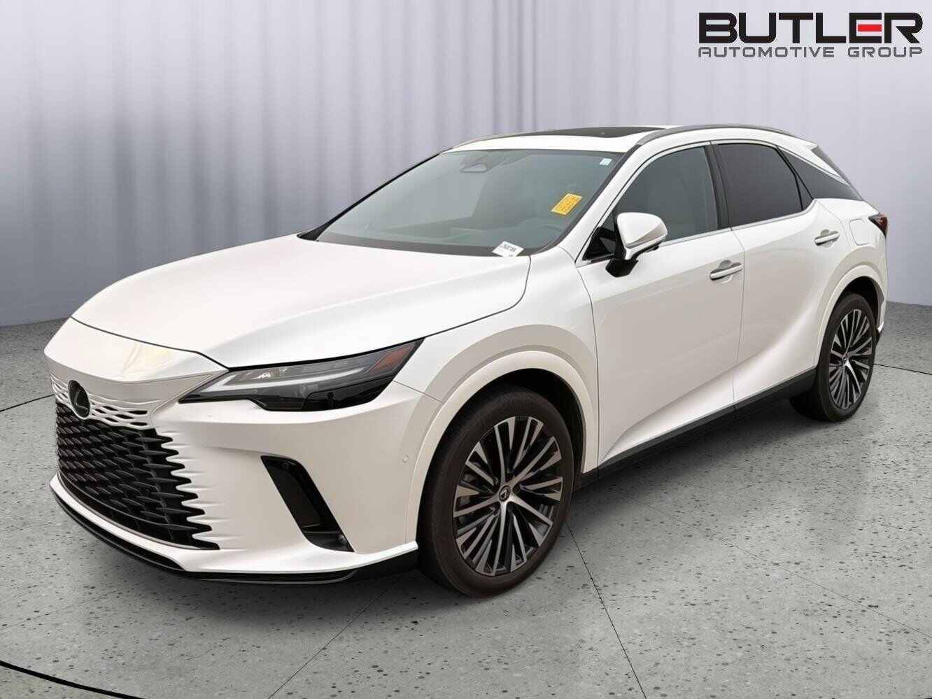 2024 LEXUS RX