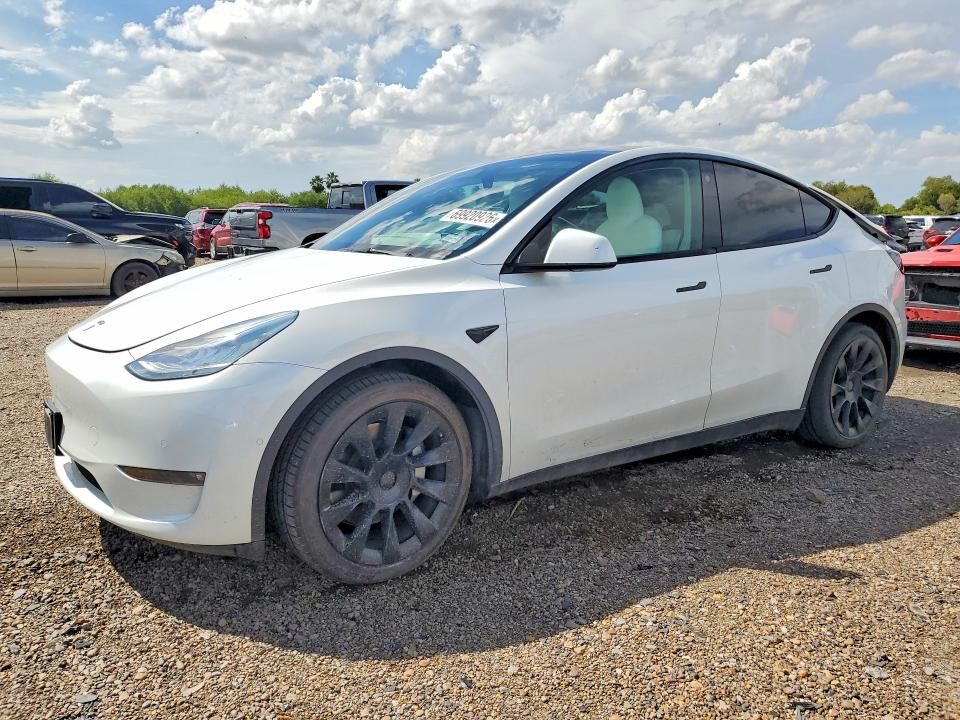 2021 TESLA Model Y