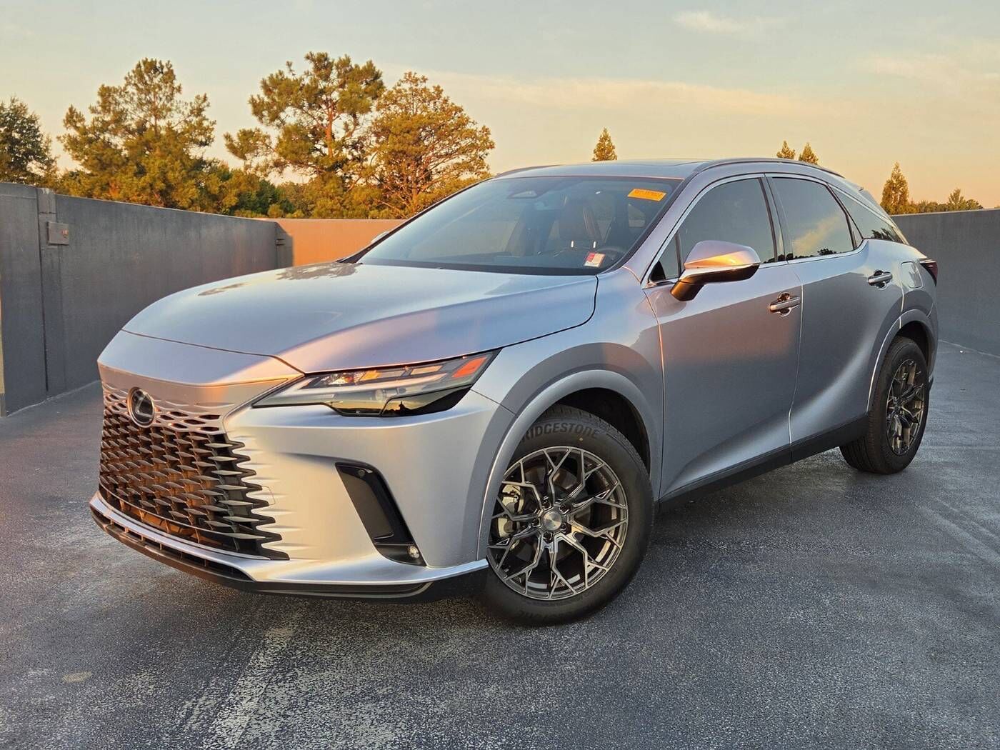 2024 LEXUS RX