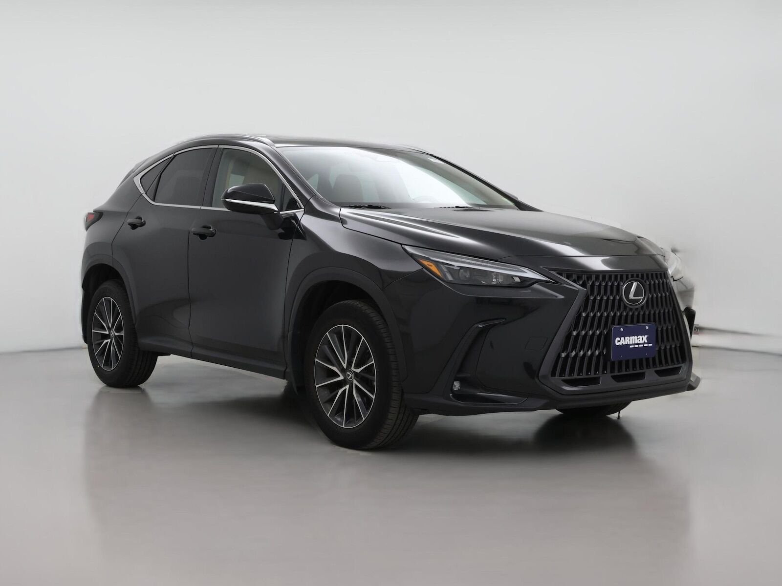 2024 LEXUS NX