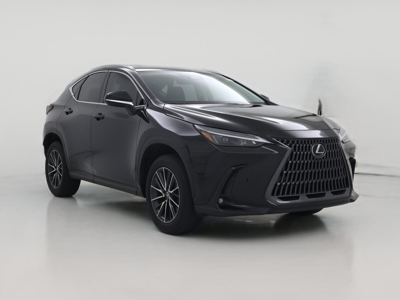 2024 LEXUS NX