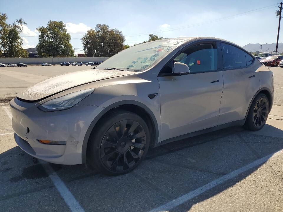 2021 TESLA Model Y