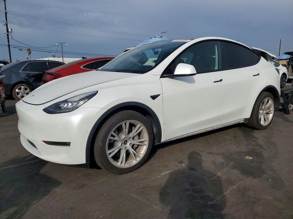 2021 TESLA Model Y