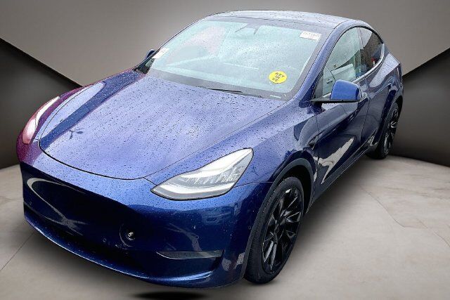 2020 TESLA Model Y
