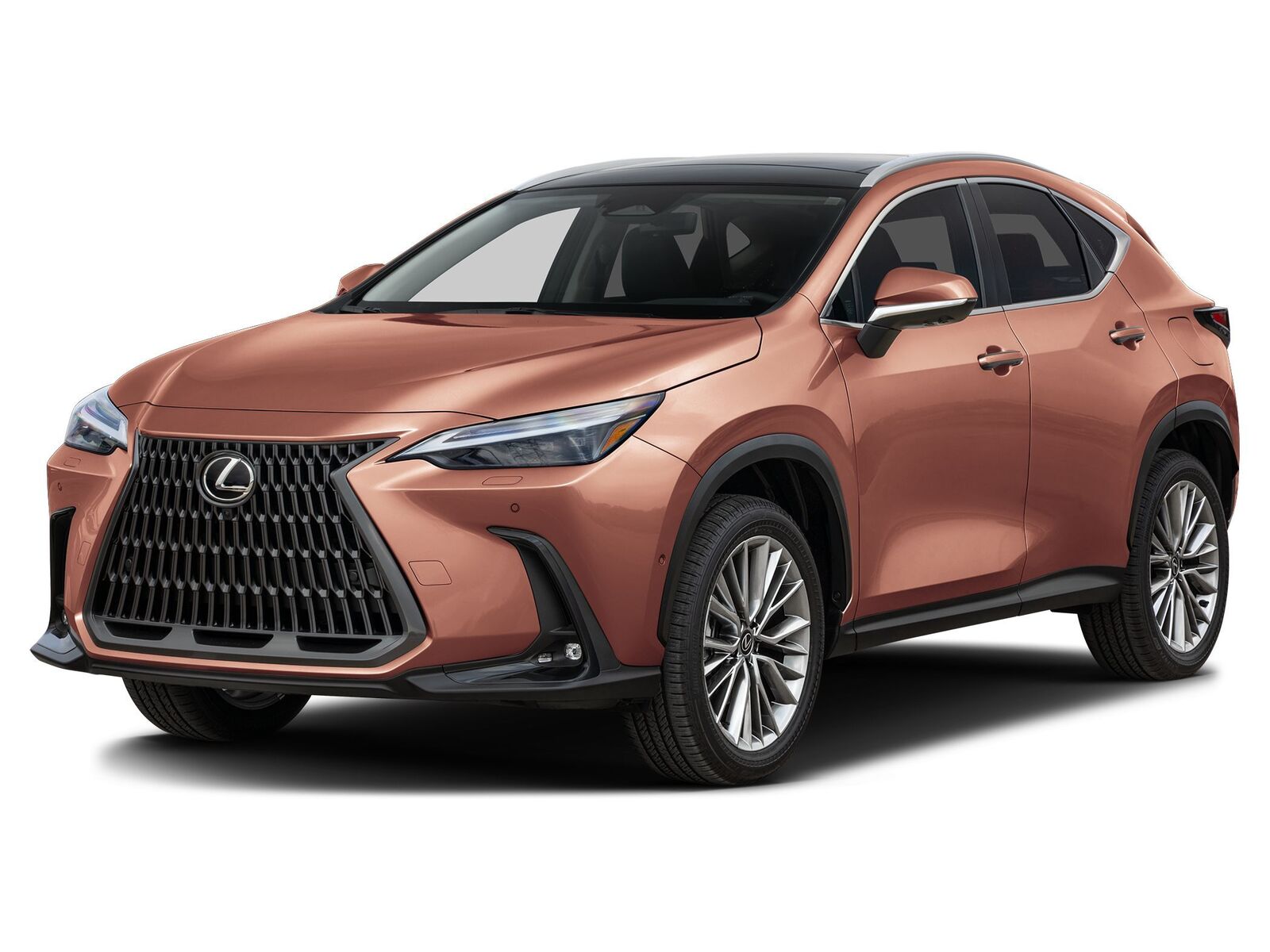 2026 LEXUS NX