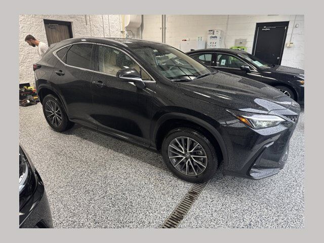 2024 LEXUS NX
