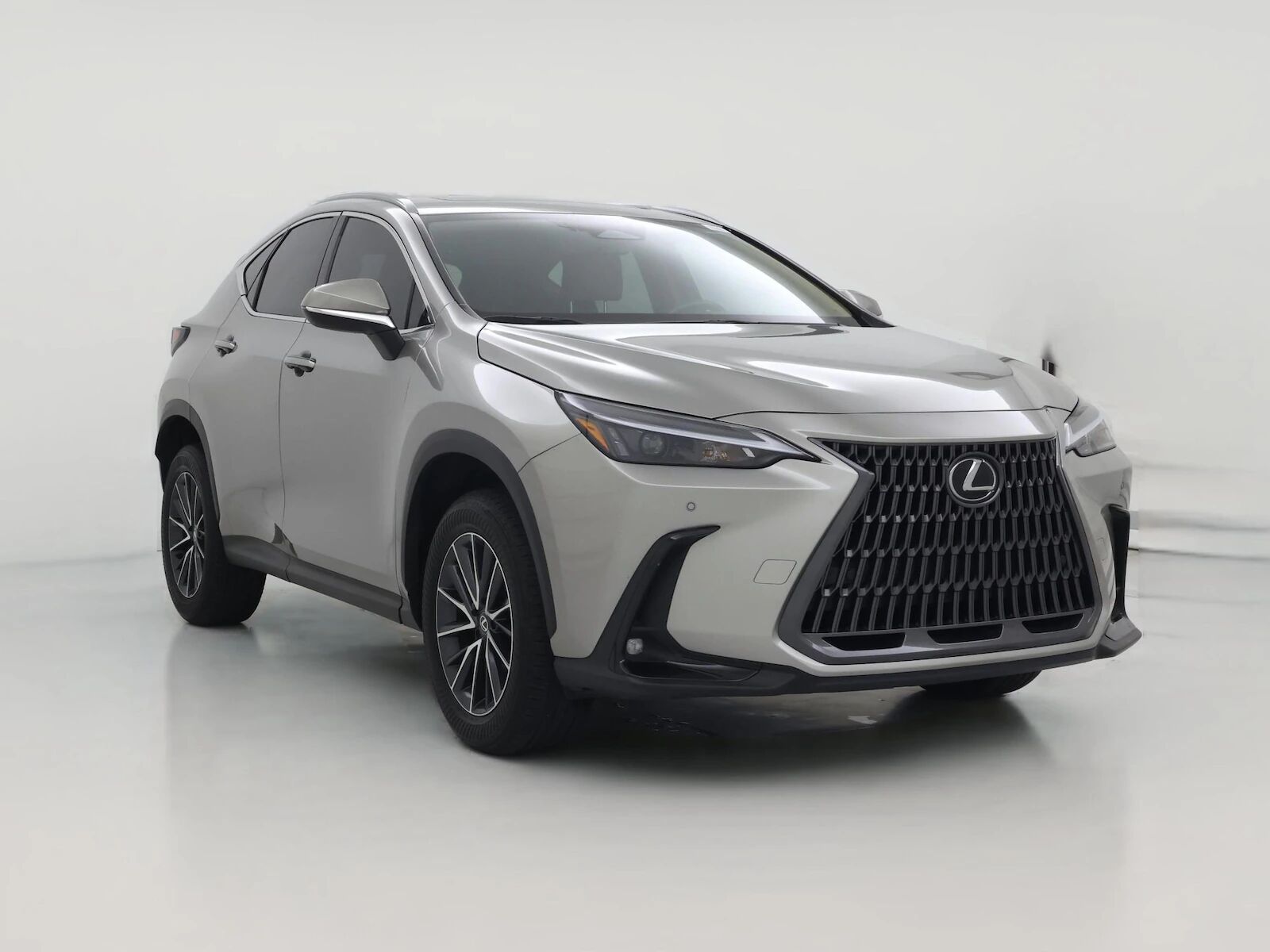 2025 LEXUS NX