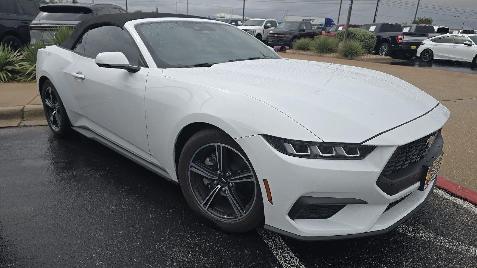 2024 FORD Mustang