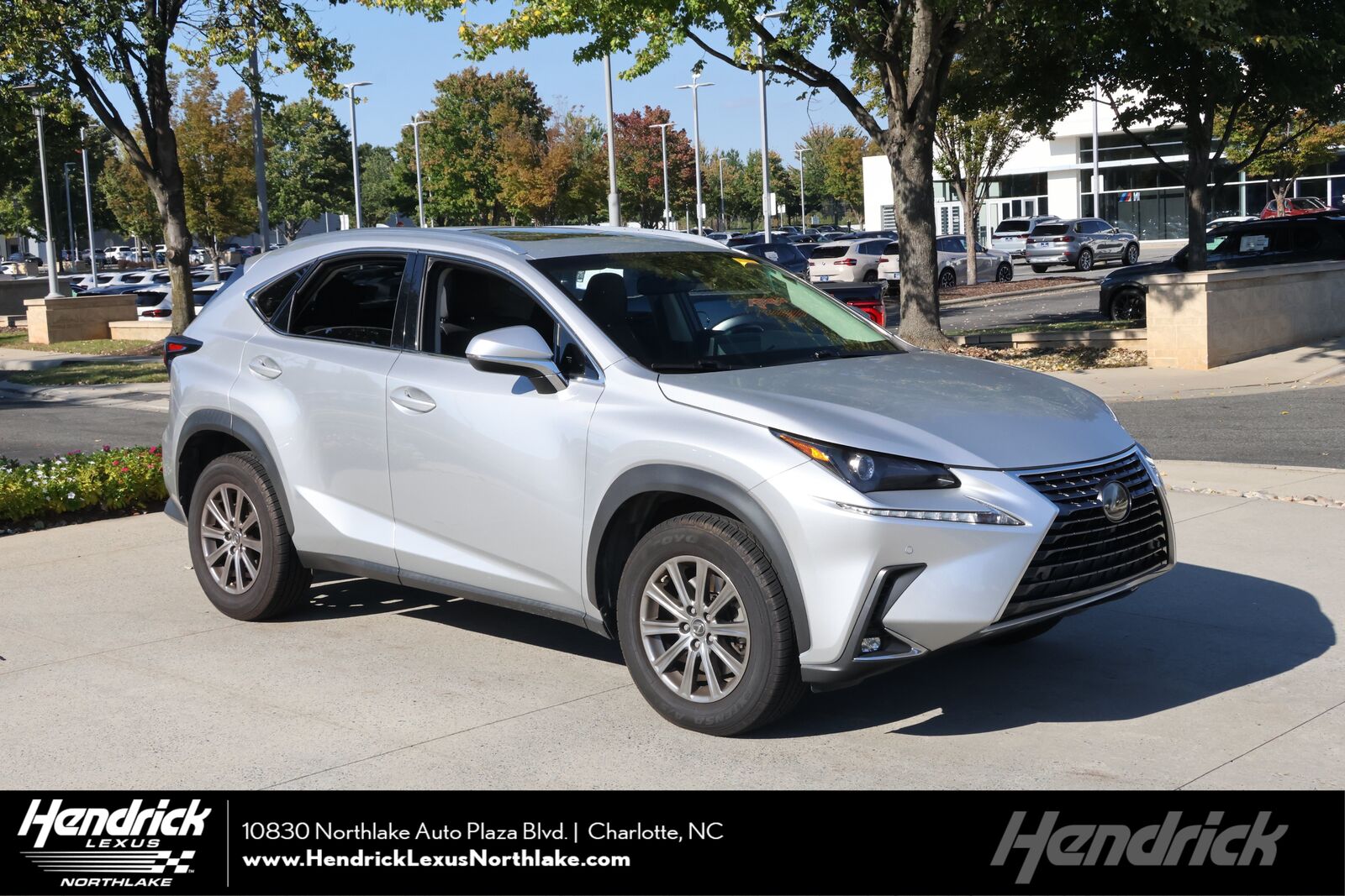 2019 LEXUS NX