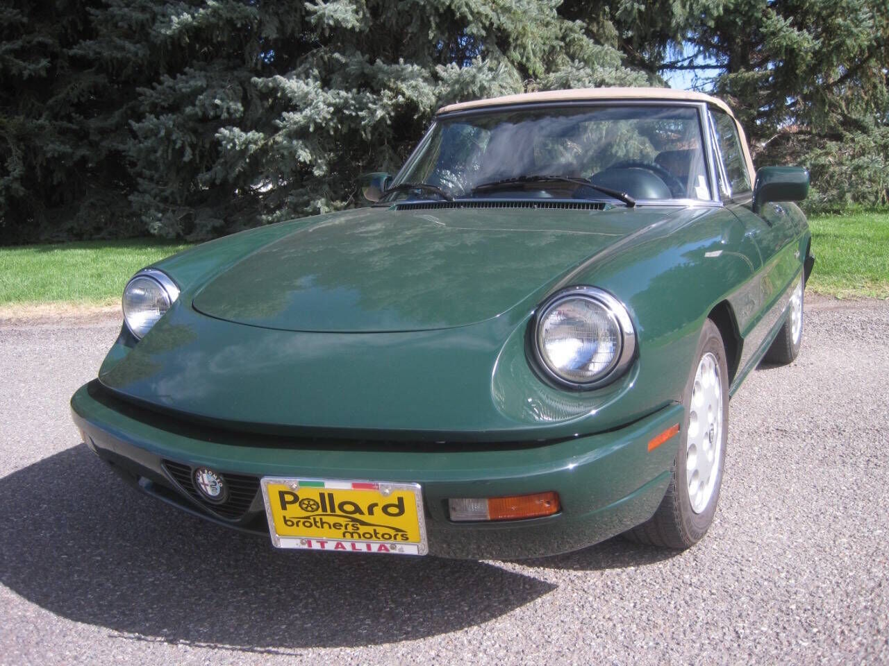 1993 ALFA ROMEO Spider
