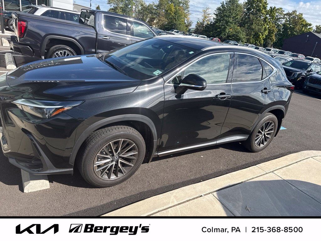 2024 LEXUS NX
