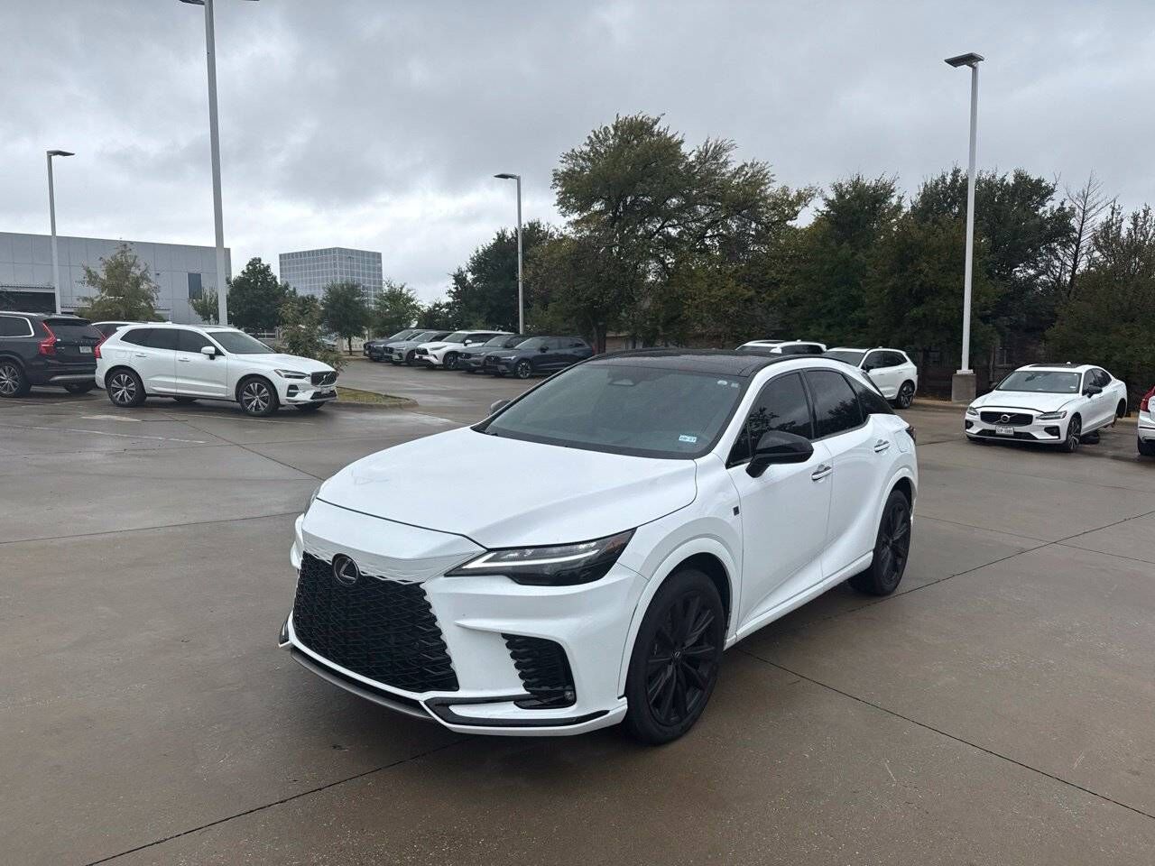 2024 LEXUS RX