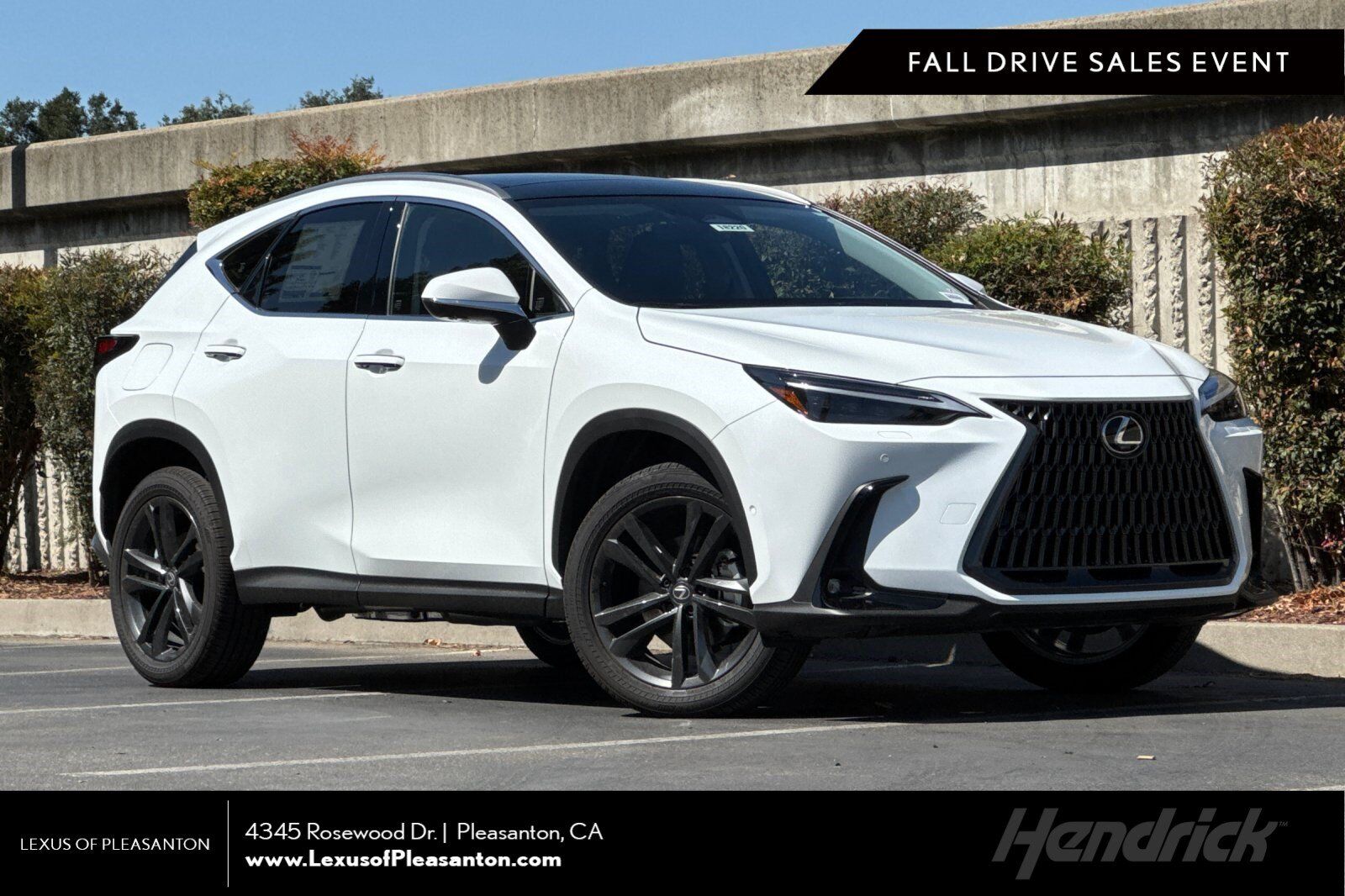 2026 LEXUS NX