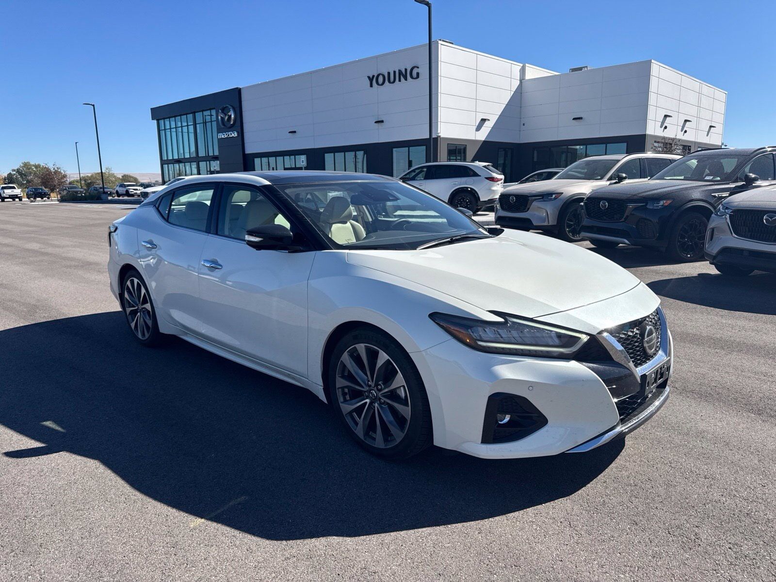 2022 NISSAN Maxima