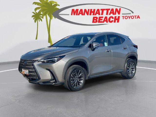 2025 LEXUS NX