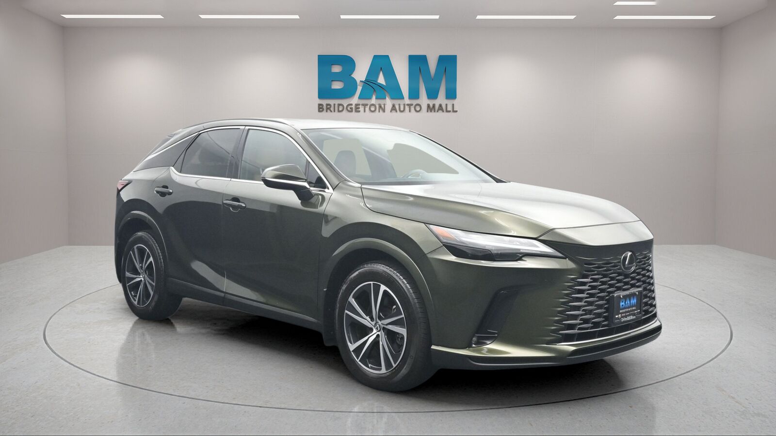 2024 LEXUS RX