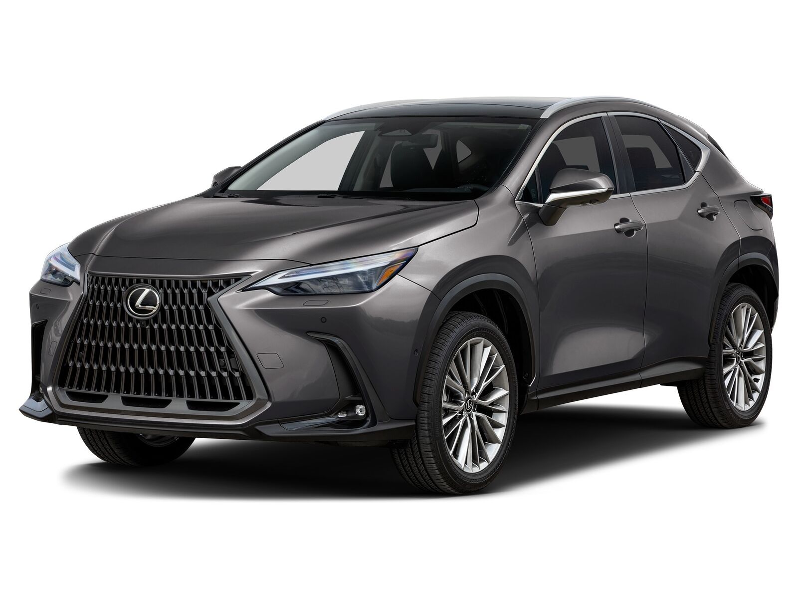 2026 LEXUS NX