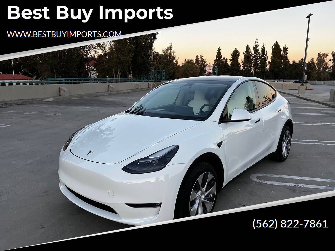 2023 TESLA Model Y