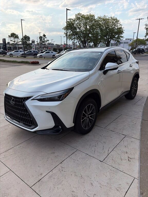 2024 LEXUS NX
