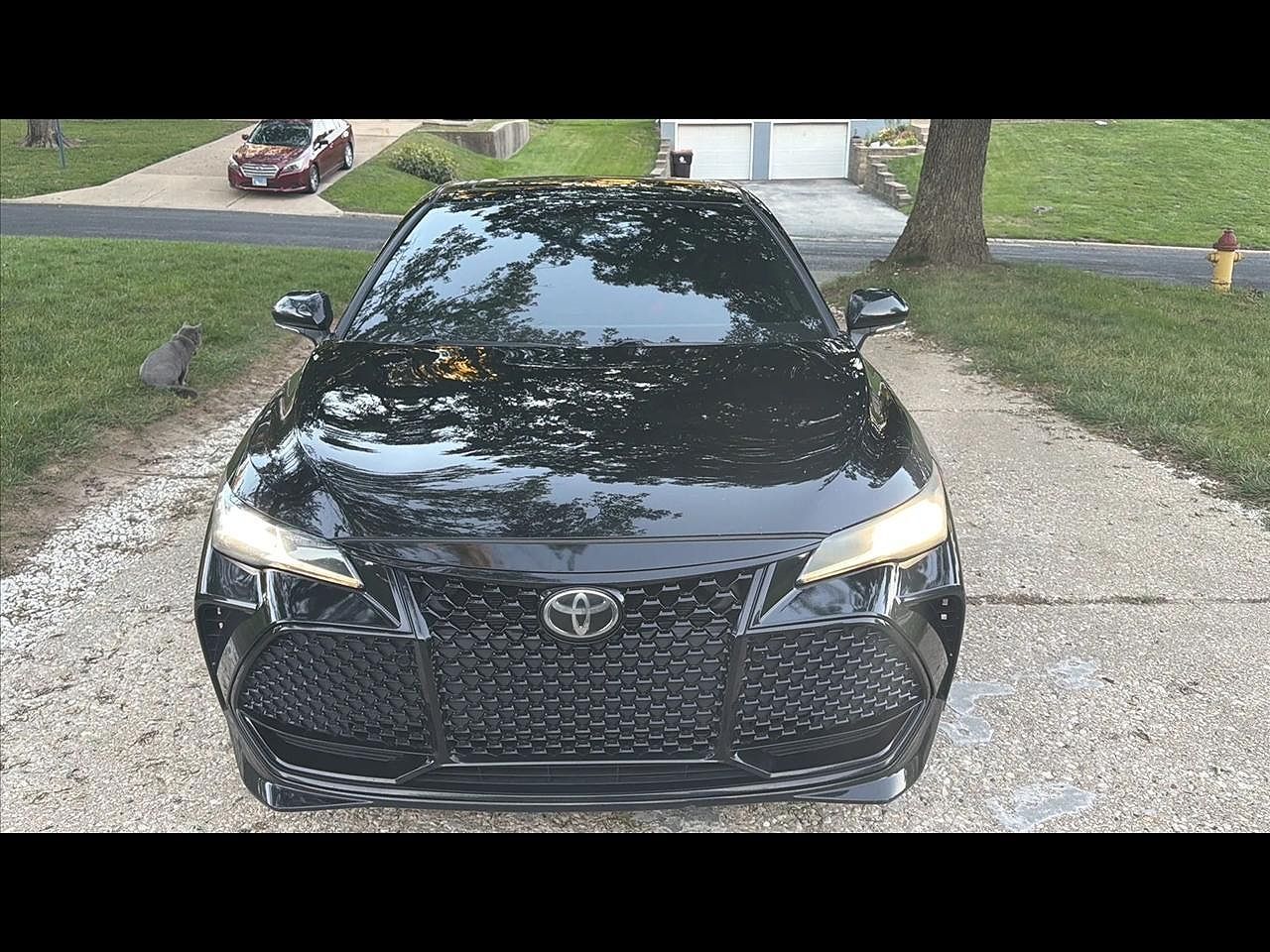 2019 TOYOTA Avalon