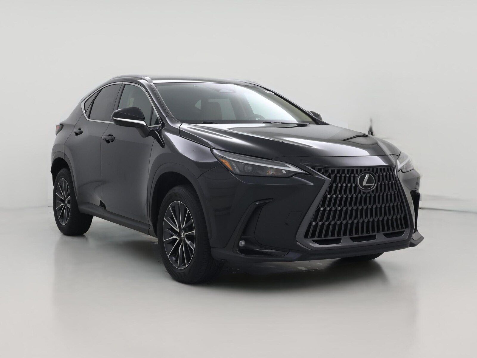 2024 LEXUS NX
