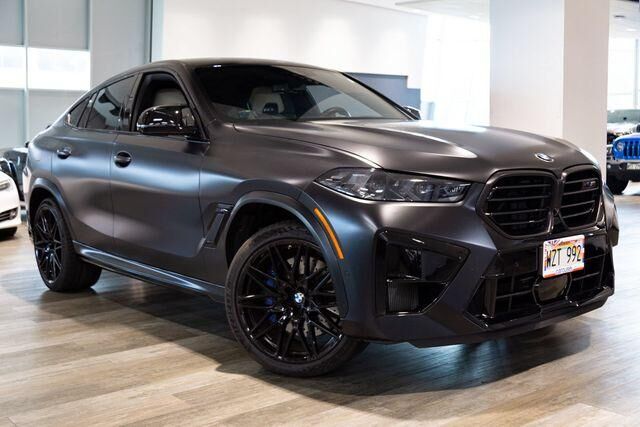 2024 BMW X6