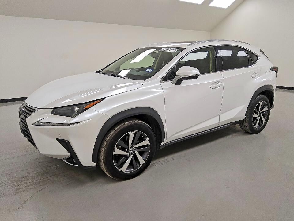 2019 LEXUS NX